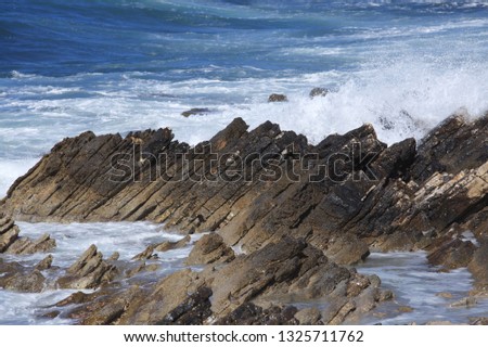 Wavy sea waves and splashes