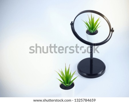 in the mirror, which stands on a black leg reflected green plant in a white pot standing on a white background