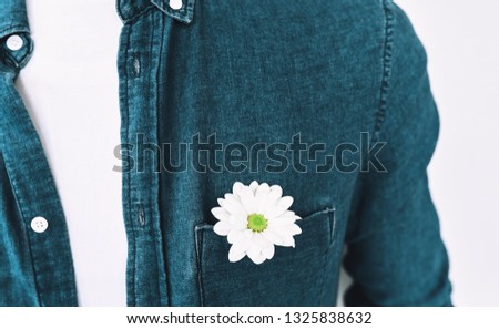 Closeup cropped image of handsome man in blue shirt with a flower in pocket, posing over white wall. Valentine's Day. Mother's Day concept