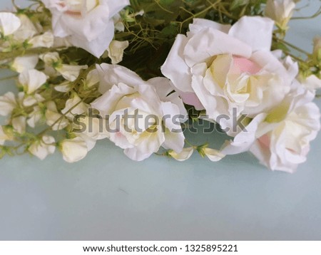 Beautiful Flowers Spring 
Roses Valentine Women's Day Wedding Background Roses bouquet  Greetings Card illustration Photo
