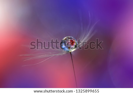 Beautiful Spring Nature Art Background and daisy.Abstract Macro Photography.Artistic closeup concept.Web Banner for design and website.Amazing Colorful Wallpaper.Tranquil Scene.Pastel Floral Dandelion