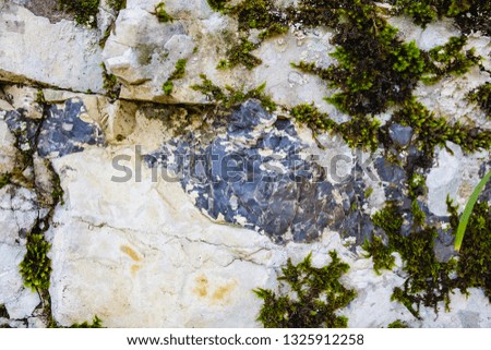 Beautiful bright green moss grows among rocks. Concept of natural background and screen saver. Advertising space