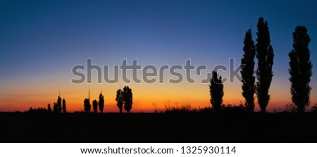 Tree Alley Silhouettes. An evening summer sunset landscape on sky background in Dnipropetrovsk, Ukraine
