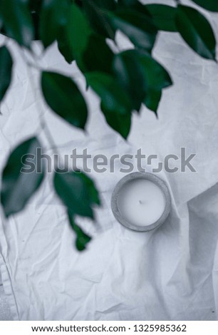 candle and green leaves on a white background. Concept with copy space