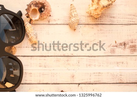 Concept of the summer time with sea shells on the wooden tray. Place for your text