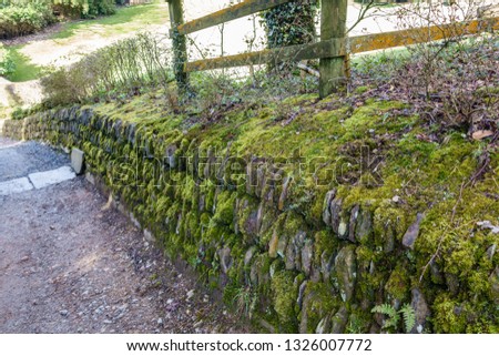 a pavement made of stones and a wood enclosure on it; green moss grows everywhere between stones and also on them