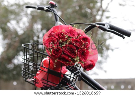 Bicycle basket filled with fresh and romantic red roses bunch, Valentine’s Day and Love concept, close up of bicycle basket filled with red roses 