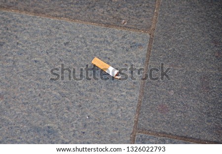 dirt and pollution: cigarette butts thrown into the street dirty the environment near a children's park