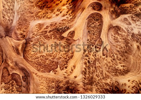 Nature salao burl wood striped for Picture prints interior decoration car, Exotic wooden beautiful pattern for crafts or abstract art background texture