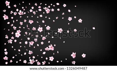 Nice Sakura Blossom Isolated Vector. Magic Blowing 3d Petals Wedding Texture. Japanese Blurred Flowers Illustration. Valentine, Mother's Day Summer Nice Sakura Blossom Isolated on Black
