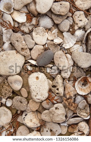 An abstract background of sea pebbles