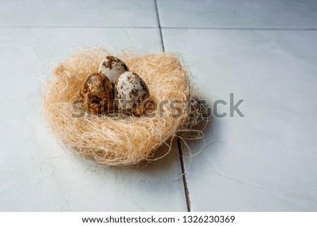 quail eggs and bird nests,bird's nest and eggs,spotted egg