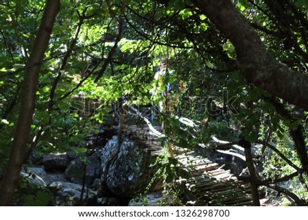 Forest landscape in the mountains of Crimea, tourists in the background behind the foliage of trees cross the mountain river on the bridge
