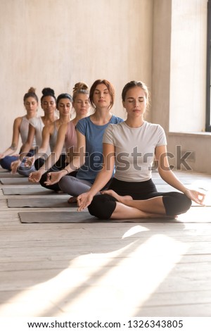 Group of young attractive people practicing yoga lesson doing Easy Seat exercise, Sukhasana pose, working out indoor full length, mixed race female students training at club or yoga studio. Copy spase Royalty-Free Stock Photo #1326343805