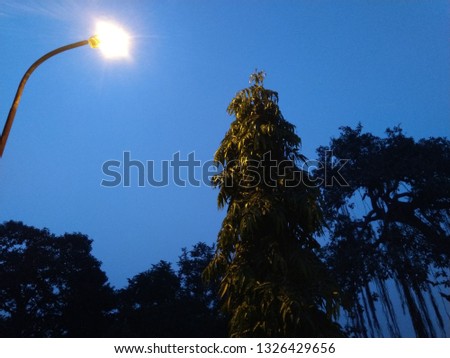This picture is night street light, time is evening in park.