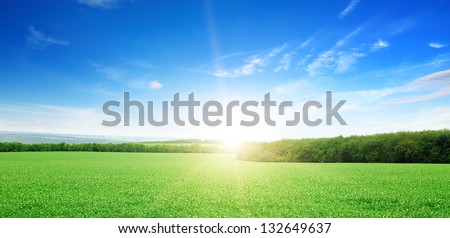 sunrise over a green field