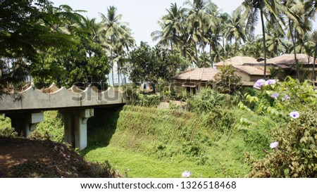 Resort surrounded with palm trees and greenery and small bridge in goa