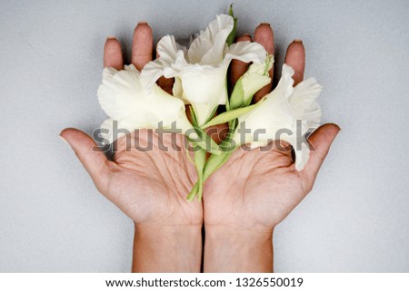 Closeup of beautiful woman hands with white flowers. Beautiful composition with hands and white flowers for March 8, International Womens Day, Birthday , Valentines Day or Mothers day