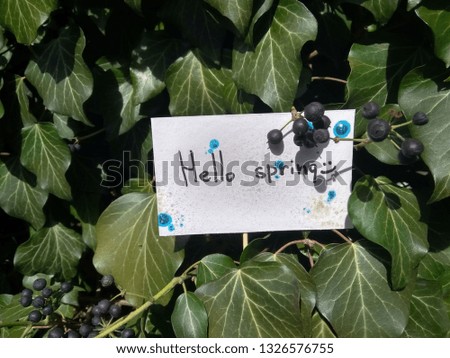 inscription on paper hello spring on nature background