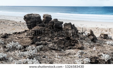 Stone on the beach on the Falkland Islands