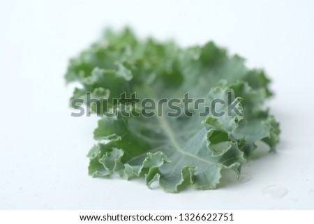 Baby Green Kale