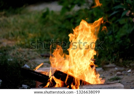 Burning woods on the ground floor with a flame and fire sparking in outdoor place 