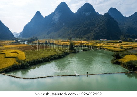 Beautiful step of rice terrace paddle field and river at Trung Khanh, Cao Bang, Vietnam. Cao Bang is beautiful in nature place in Vietnam, Southeast Asia. Travel concept.