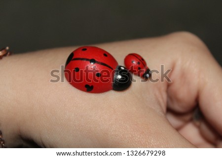 At this picture you can see two ladybugs.