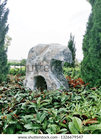 Large beautiful stone in garden. 