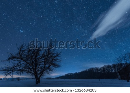 starry dark sky and tree in carpathian mountains at night in winter