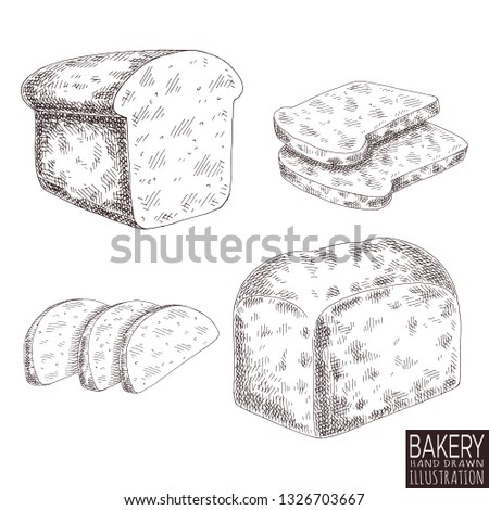 bakery product isolated on white background. Hand drawn bread food illustration. 