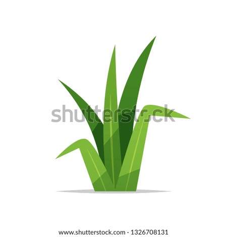 Grass vector isolated illustration