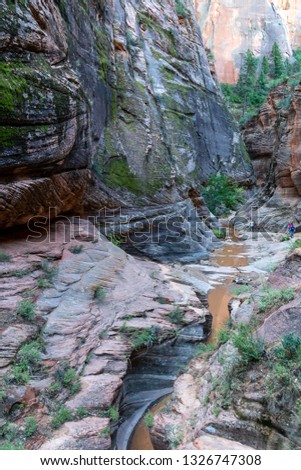 Slick sandstone canyon walls and muddy puddles along the Observation Point hiking trail in Zion National Park