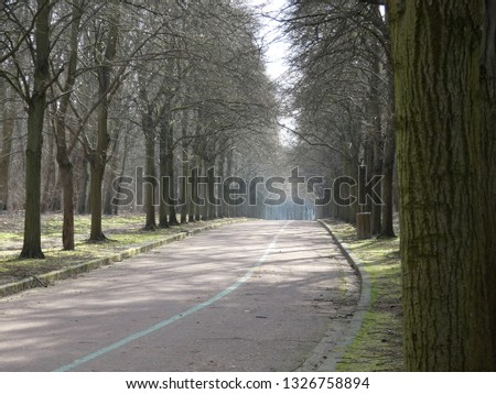 
bike path surrounded by plane tree in a park in the Paris region
