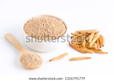 Bamboo worm powder. Bamboo Caterpillar flour for Insects eating as food edible items made of cooked insect meat in bowl and spoon on white background is good source of protein. Entomophagy concept. Royalty-Free Stock Photo #1326795779
