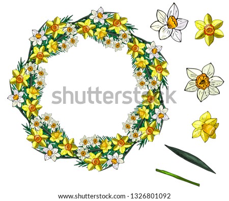 Spring decorative wreath of flowers and leaves of narcissus. Yellow and white flowers.
