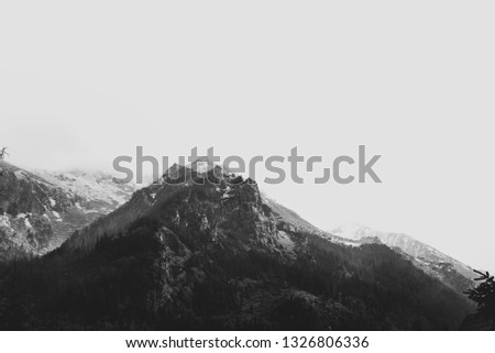 Wildlife, black and white photo - top of the mountain, photo from a trip to the Tatras, Autumn fog in the mountains. design and banner.