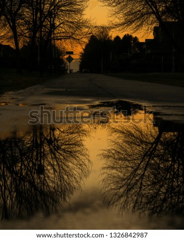 Puddle and reflection of bare winter trees.