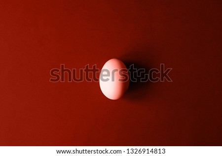 Coral color photo with one easter egg  on a background.  Minimalism.