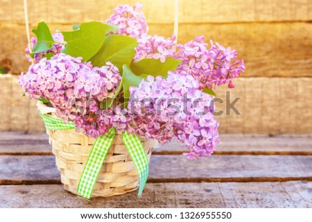 Ecology nature springtime concept. Bouquet of flowers beautiful smell violet purple lilac in vase on rustic wooden background. Inspirational natural floral spring blooming garden or park