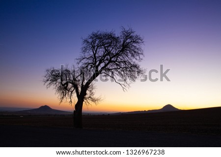 Lonely tree in Central Bohemian Uplands, Czech Republic.  Central Bohemian Uplands or Central Bohemian Highlands is a mountain range located in northern Bohemia. The range is about 80 km long