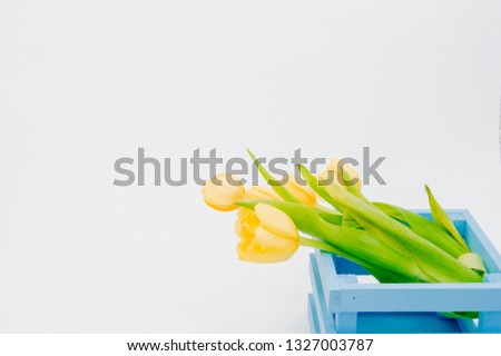 Womans holiday yellow Spring tulips with an alarm clock and blue wooden cart box isolated on white background.Several objects Top horizontal view copyspace