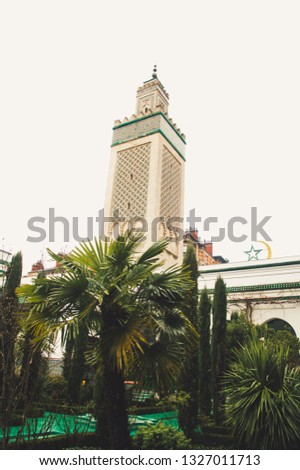 Oriental courtyard garden with trees and plants below a minaret. Grand Mosque of Paris.