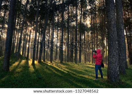 A Men are taking pictures of the scenery in the pine forest.