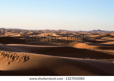 sunset in desert, beautiful photo digital picture