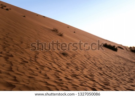 sand dunes in the desert, beautiful photo digital picture