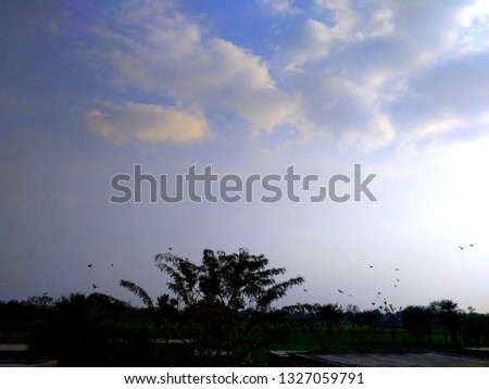 beautiful picture of clouds, sky, trees, palm trees, blue sky, autumn trees