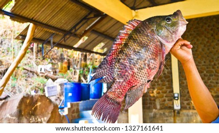 Fishing is the best sport for someone can catch the big fish for sell and food.