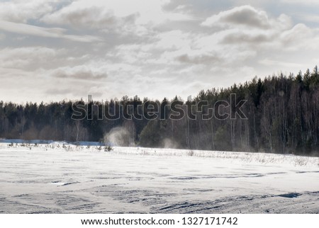 Snow storm in the winter forest
