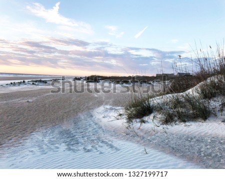 Grass Sand Dunes Blue Sky St. Augustine, Florida